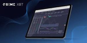 Trading Platform PrimeXBT Indonesia