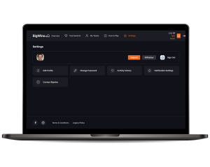 Big Wins Gambling Enterprise 2025