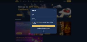 BigWins Casino Site - Check Out 3 Essential Points Before 200 Cash Spins