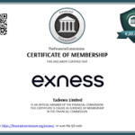 The Rise of Forex Trading with Exness The Rise of Forex Trading with Exness