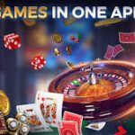 Discover the Excitement of WildRobin Casino 13
